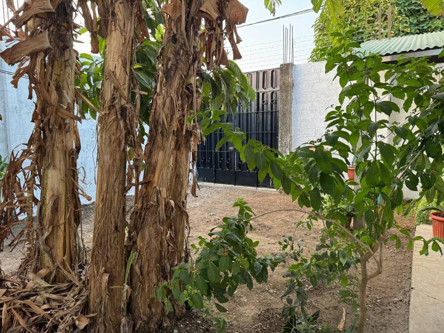 Casa Privada Con Terraza Villa Puerto Maldonado Luaran gambar